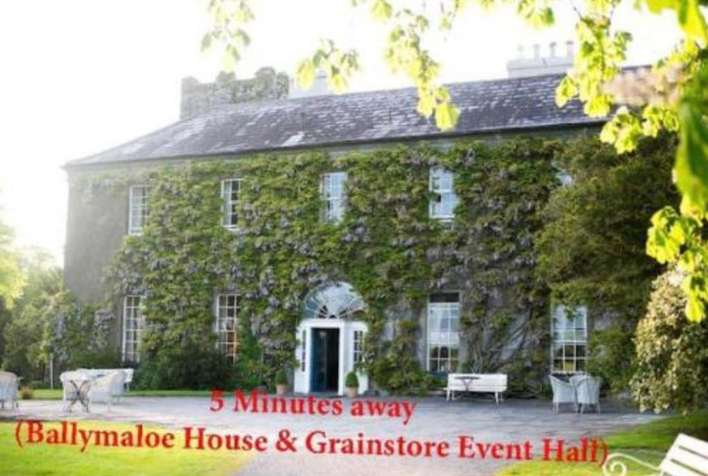 Ashlee Lodge, Shanagarry P25K6R6 Near Ballymaloe House & Garryvoe Hotel Eksteriør bilde