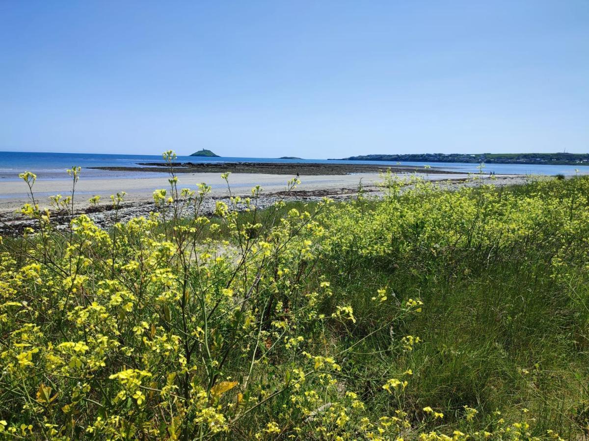 Ashlee Lodge, Shanagarry P25K6R6 Near Ballymaloe House & Garryvoe Hotel Eksteriør bilde